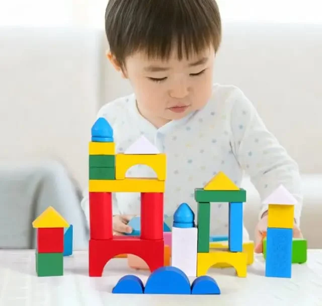 Wooden Building Blocks Set – Stacking & Educational Blocks for Kids