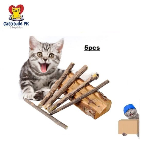 Catnip Silvervine Sticks - Pack of 5 | Natural Cat Chew Treats with Fruit & Wooden Ball with Bell | Dental Care & Play Toy for Cats