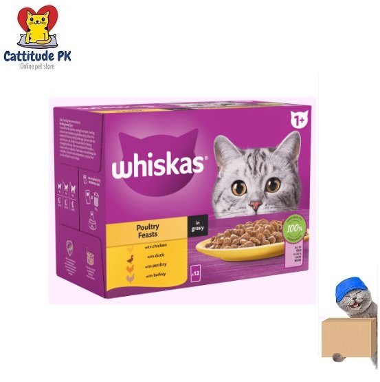 WHISKAS 1+ Adult Poultry Feasts in Gravy – 85gm | Delicious Wet Cat Food Pouches | Complete & Balanced Nutrition for Adult Cats