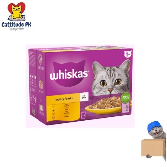 WHISKAS 1+ Adult Poultry Feasts in Jelly & Gravy – 85gm | Wet Cat Food Pouches | Balanced Nutrition for Adult Cats | Delicious Poultry Mix