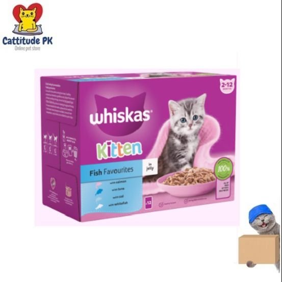 WHISKAS Kitten Fish Favourites in Jelly – 85gm | Wet Kitten Food Pouch | Complete & Balanced Nutrition | Delicious Fish Flavors for Growing Kittens