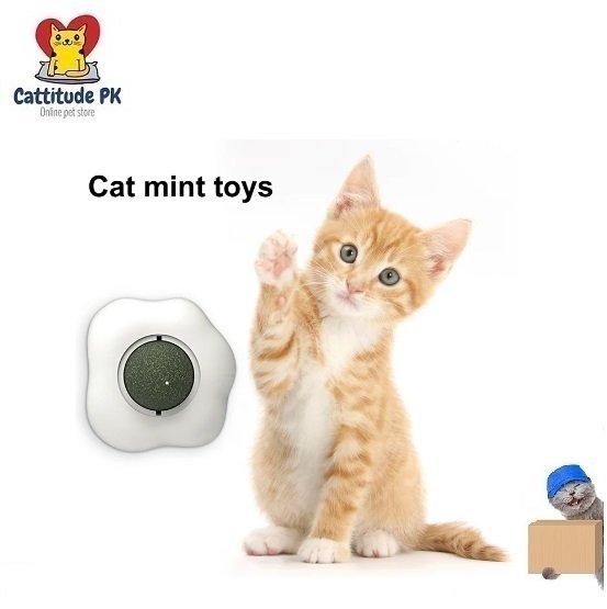 Catnip Ball – Egg Shape Cat Wall Treat Toy | Cat Mint Rotatable Licking Ball | Edible Cat Grass Snack for Healthy Teeth & Teething Kittens