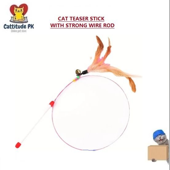 Cat Teaser Toy with Feather & Bell | Interactive Flexible Wire Cat Stick | Fun Indoor Cat Toy for Play & Exercise